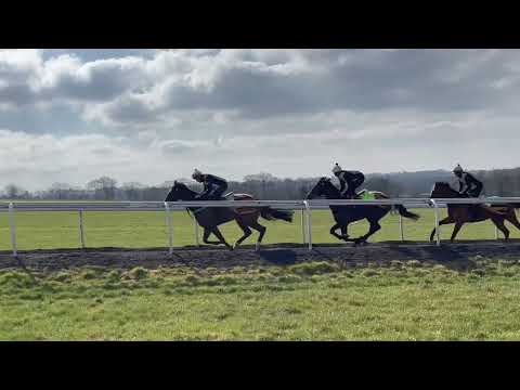 Mustazeed - Warren Hill, March 2023