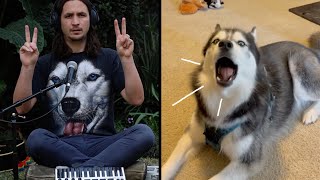 Ancient Husky Melody Music Video
