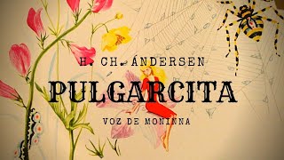 PULGARCITA - Cuento - H. CH. ÁNDERSEN - Voz Humana - Cuentos En Español - Cuentos Cortos