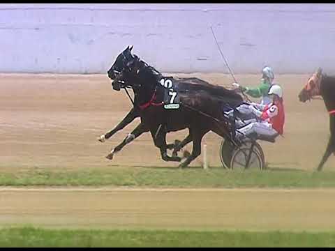 Trotto 11/06/2020 - 1ª corsa