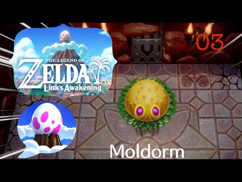 The Legend of Zelda: Link's Awakening - Part 03 (Tail Cave) 100% Walkthrough | A Simple Gamer