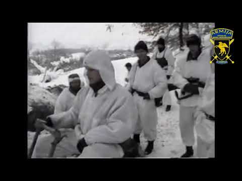 Ratne operacije, februarska ofanziva 1994.godine.