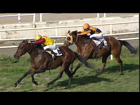 Napoli Galoppo 02/03/2023 - 2ª corsa