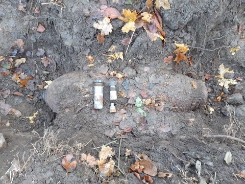 PETERSBERG: Aufatmen und Appell: "Bitte dem Rauschenberg erst einmal fernbleiben"