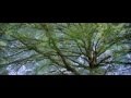 Mihai Toma feat. Maria Ciobanu - Lie Ciocarlie ...