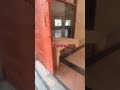Bhoot Pishach Nikat Nahi Aawe Mahaveer Jab Naam Sunaawe Song Music Love Viral Dance Newsong