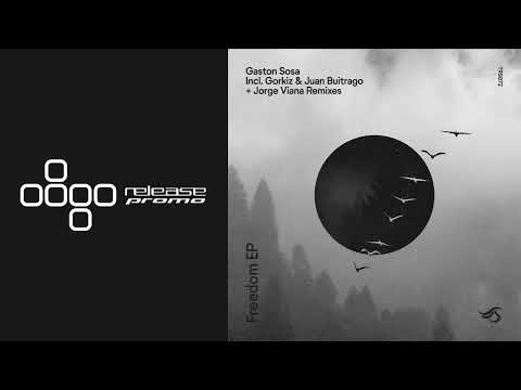 PREMIERE: Gaston Sosa - Freedom (Juan Buitrago & Gorkiz Remix) [Transensations]
