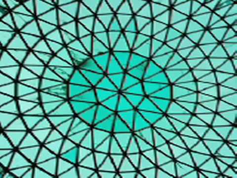 skeletons - Michelle Ngan