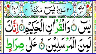Download lagu 036 Surah Yaseen Full [Surah Yasin Recitation with HD Arabic Text] Surah Yaseen Pani Patti Voice🙏📿 mp3
