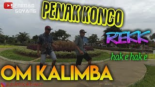 Download lagu KALIMBA MUSIK - PENAK KONCO (cover goyang) hampir kompak jogetnya By SENIMAN GOYANG mp3