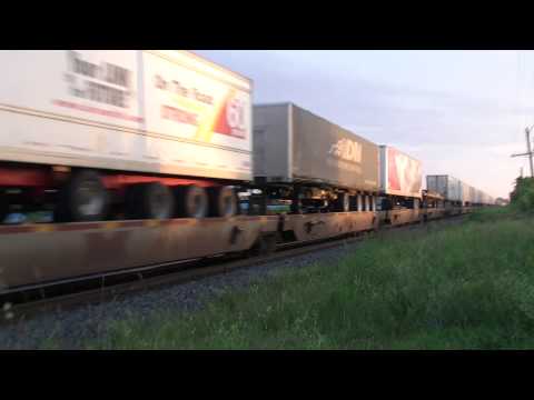 CP #132 / CLASSIC / CP#5995,CP#5846,CP#6031: