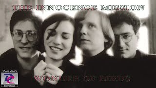 The Innocence Mission - Wonder Of Birds (Deep Cuts Karaoke)