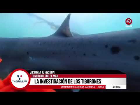 #ENVIVO #PuertoDeseado #SantaCruz #Argentina Noticias de Ultima Hora!