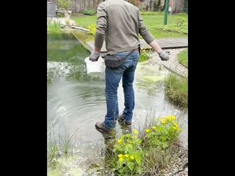 Bild Pimp my Pond – Teil 03 // Wasserwerte gezielt optimieren