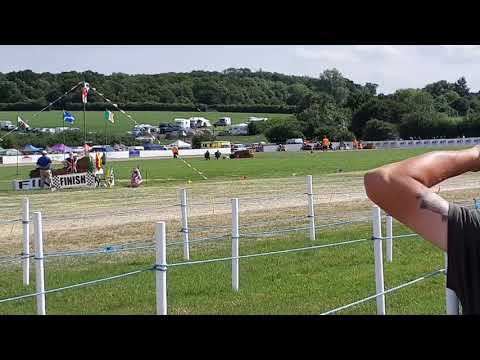 British grasstrack champs 2019 Chelmsford 7 .7 19(13)