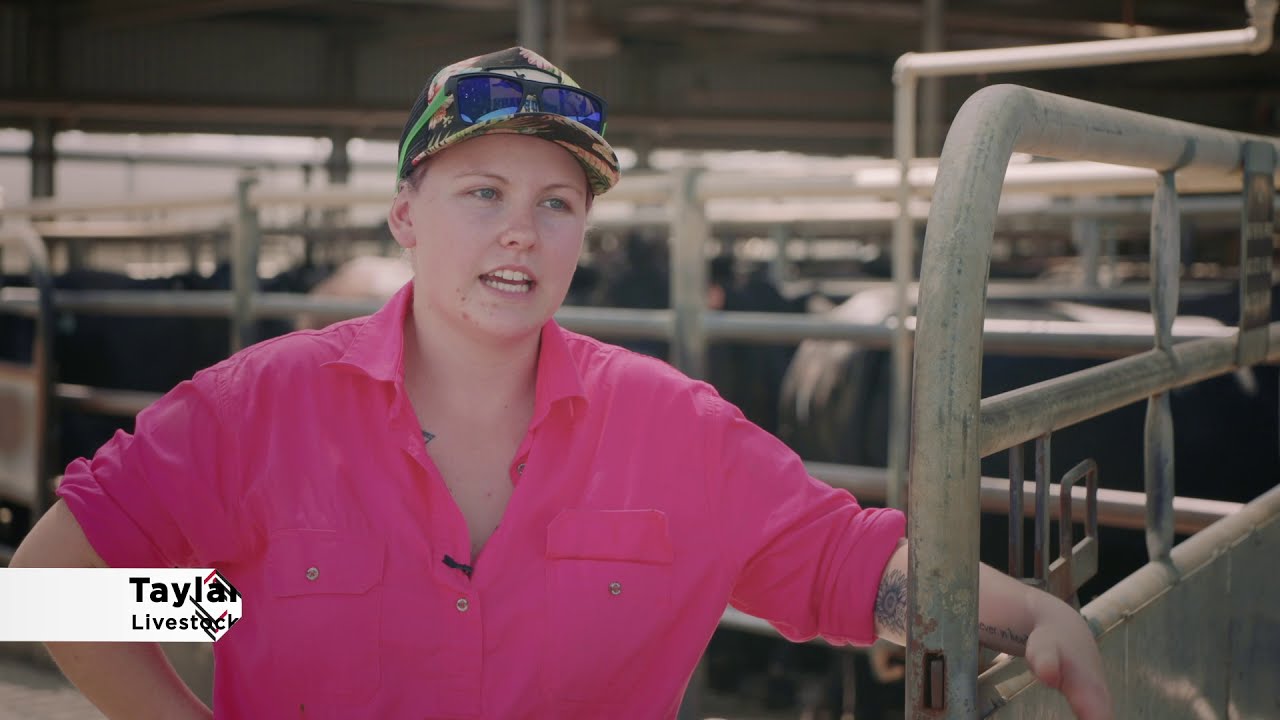 Meat industry essentials