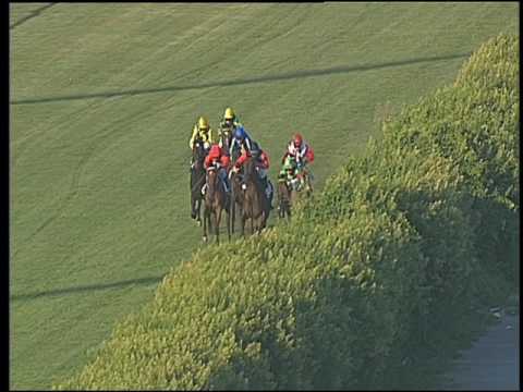 Galoppo 20/07/2016 - 2° corsa