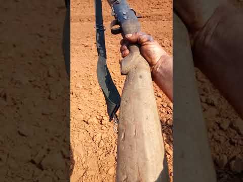 Para sobreviver, cada um usa as armas que tem. Espingarda artesanal.