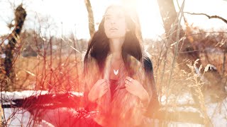 Simian Mobile Disco - Dandelion Spheres