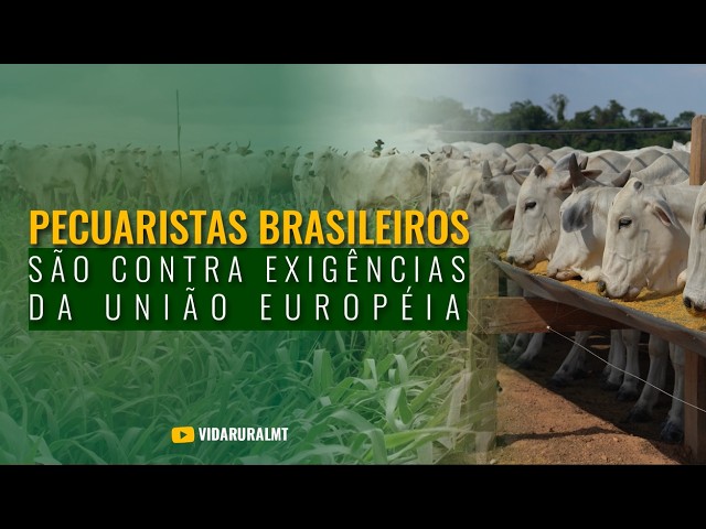 PECUARISTAS BRASILEIROS SÃO CONTRA EXIGÊNCIAS DA UNIÃO EUROPÉIA