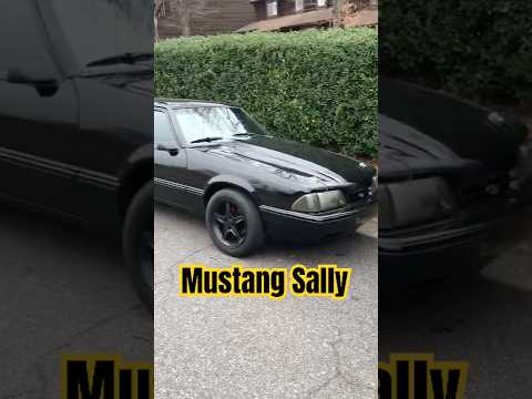 Thumbnail for Black Beauty / Mustang Sally: Fox Mustang On The Loose DI #shorts by Special Vehicle Operations