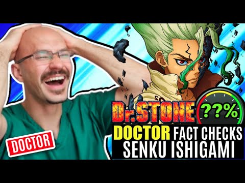 Doktor überprüft Fakten zu Dr. Stone (Anime)
