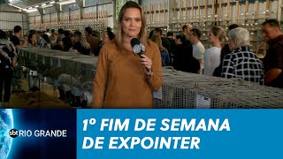 Miniatura do vídeo