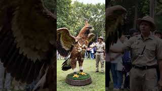 Download lagu GarudaKu Indonesia ✅💖 #shorts #shortvideo #ytshorts #ai #aivideo #eagle #garuda #eagle #viral #fyp mp3