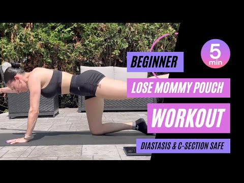 5 Min Workout To Lose YOUR MOM POUCH | Beginner Exercises (C-Section Safe)