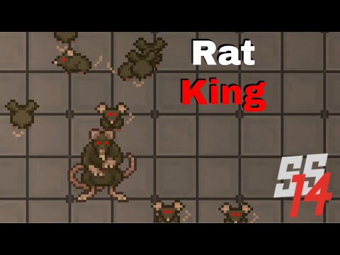 SS14 - Rat King Explained