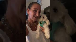 Jax is Home!!! Jax is Home!!!