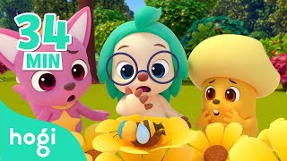 Baby Bumblebee and More! | +Compilation | Sing Along with Hogi | Play with Pinkfong &amp; Hogi