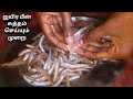 How To Clean Ayira Meen Manappen Samayal