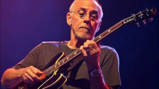 Larry Carlton - Fun in The Dark