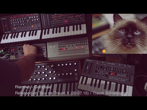 Riamiwo feat. Bruno - Cathouse  (Livesession) Tour de Traum X / Traum (Riamiwo StudioVlog 74)
