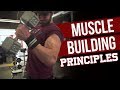 Foundational Muscle Building Principles with Vince Del Monte