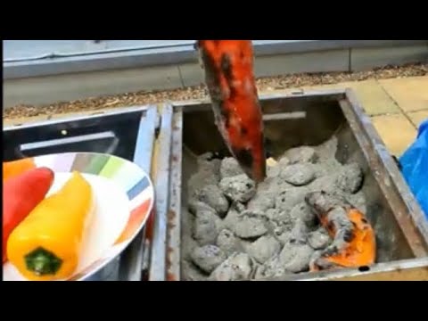 SUMMER DELIGHTS. Charcoal grilled tomatoes and peppers. Your favorite summer dish!