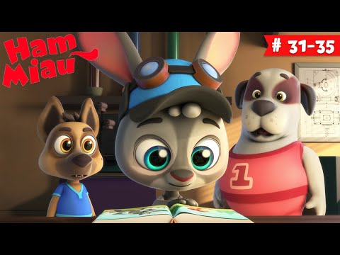 Ham Miau 🐶 ep. 31-35 🐱 Desene animate în română - HeyKids