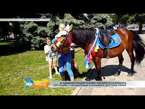 Новости Псков 28.07.2017 # Противостояние коневодов и властей продолжается