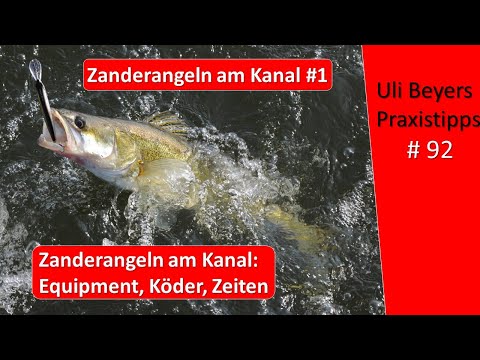 Zanderangeln im Kanal #1