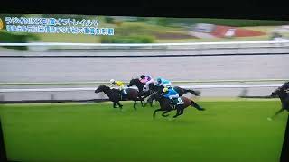 【ラジオNIKKEI賞】田辺騎手　