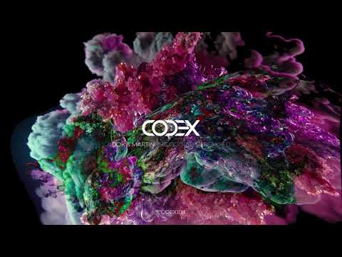 Dok & Martin - The Doorbell (Bolster Remix) // CODEX