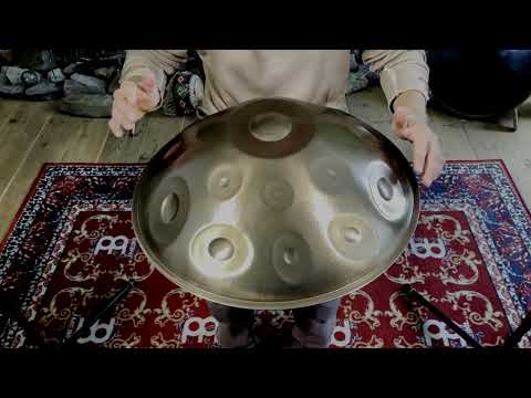 C Aegean 19 Dragon skin -  Seed handpan