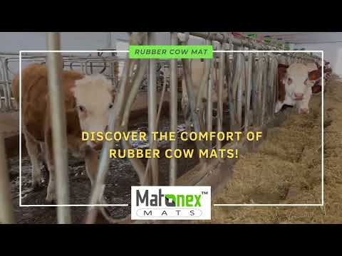 rubber cow mat