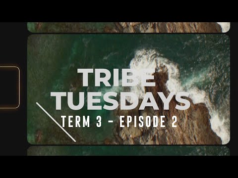 Tribe Tuesdays Term 3 Ep2