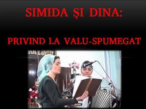🔊🎹🎸 Simida si Dina AUDIO (1979) - Privind la val