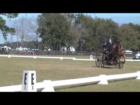 1-29-2015 Kent Brownridge Dressage
