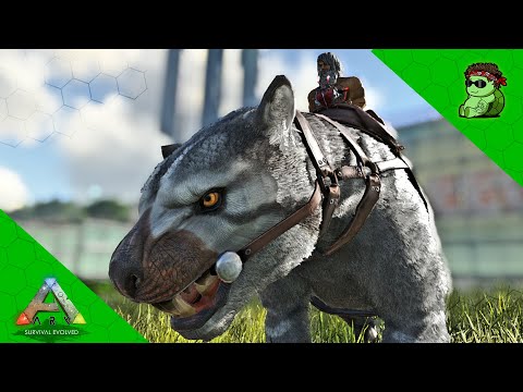 High Level THYLACOLEO Tame! - ARK: Survival Evolved [E6]