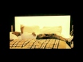 Fally Ipupa - Orgasy (Clip Officiel) Fally Ipupa - Orgasy (Clip Officiel)