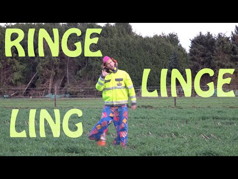 C.V. De GiErBoYs - rINGELiNGELiNG (Carnaval 2020) (Exclusive HD)